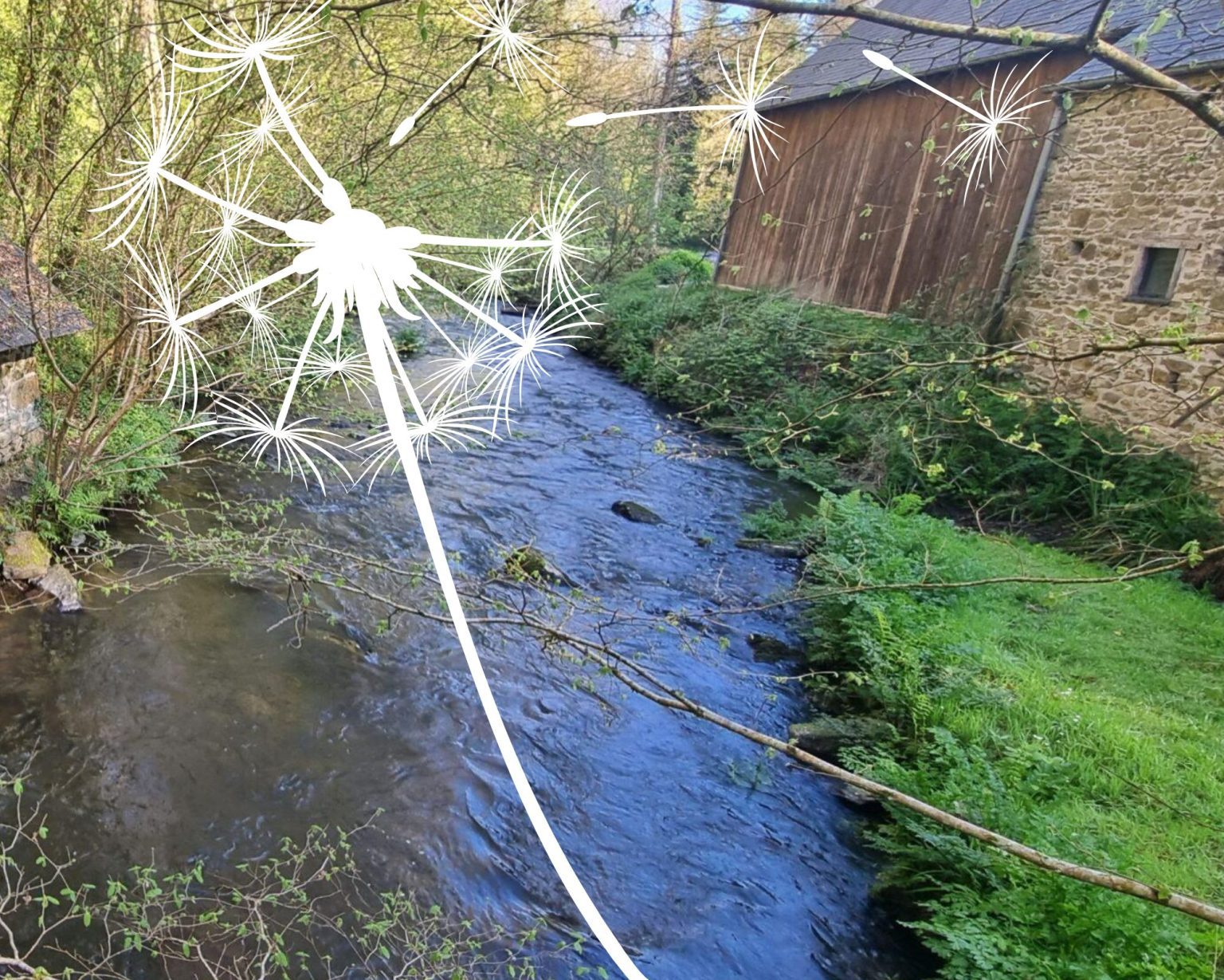 Visuel brevo et insta Palacret