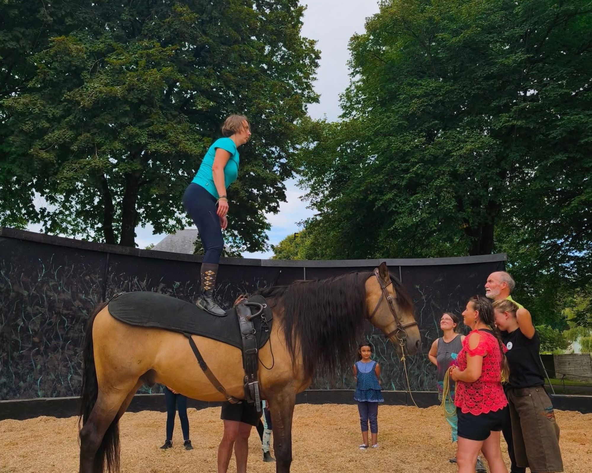 Visuels Brevo VOLTIGE EQUESTRE