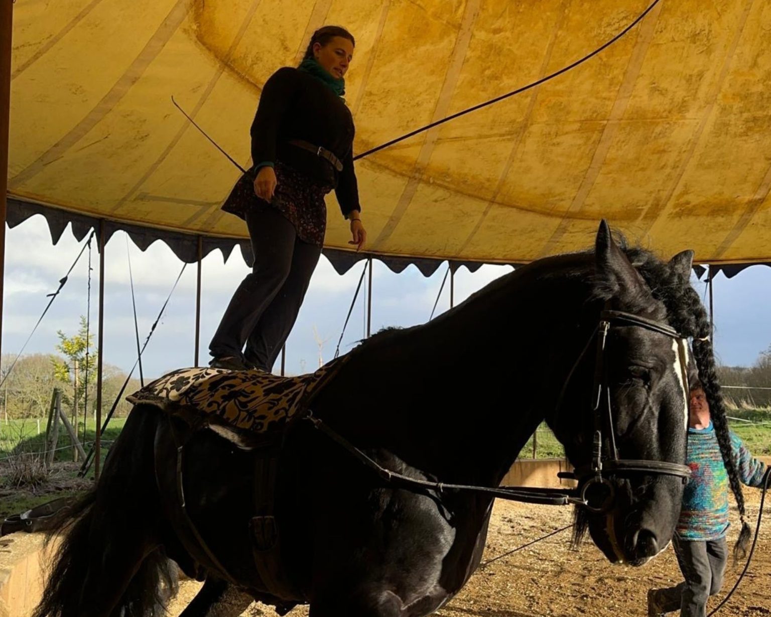Visuel brevo VOLTIGE EQUESTRE